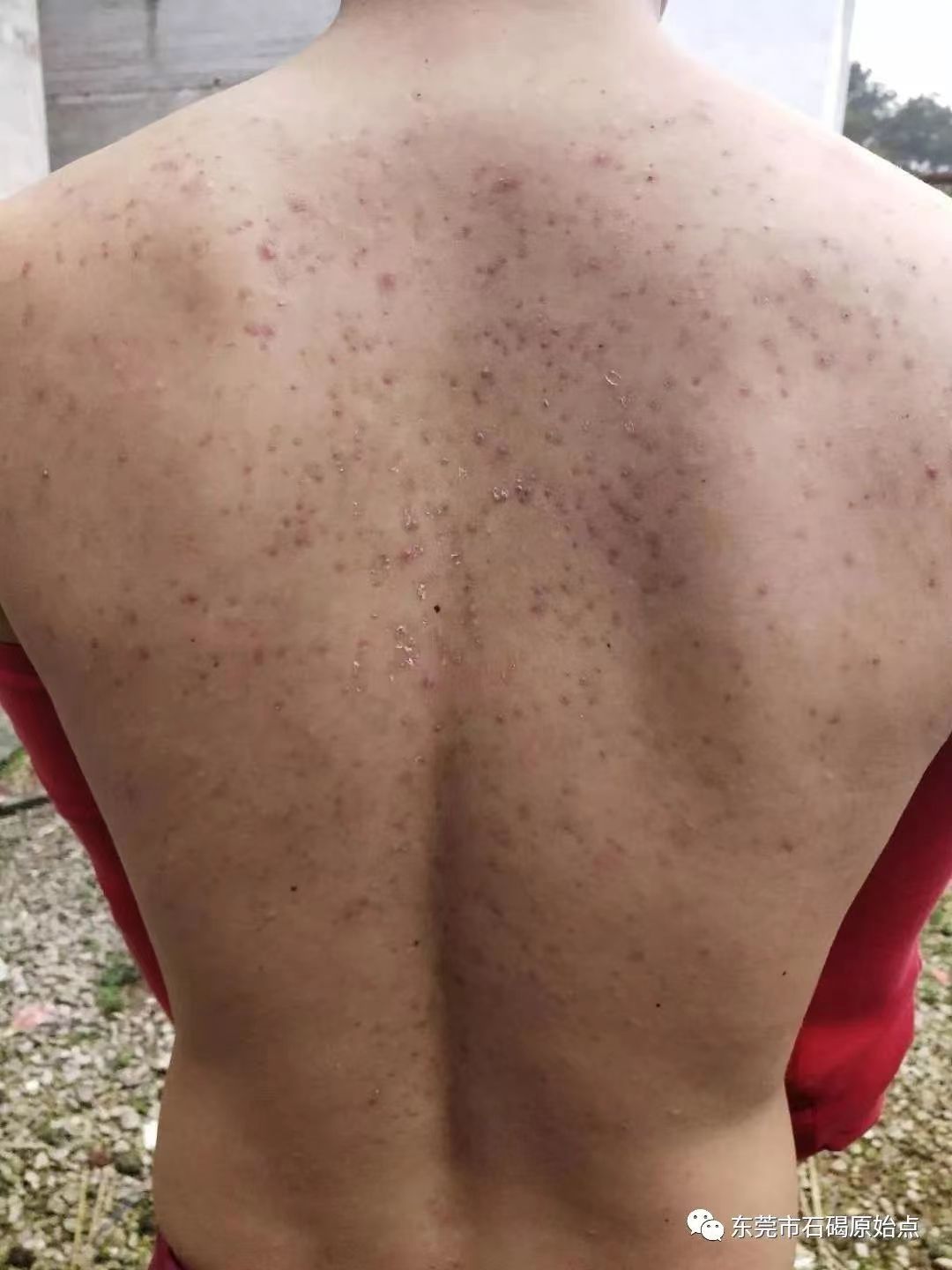 微信图片_20220822171410 微信图片_20220822171410