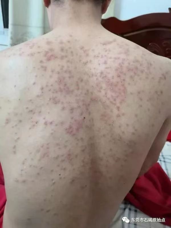 微信图片_20220822171415 微信图片_20220822171415