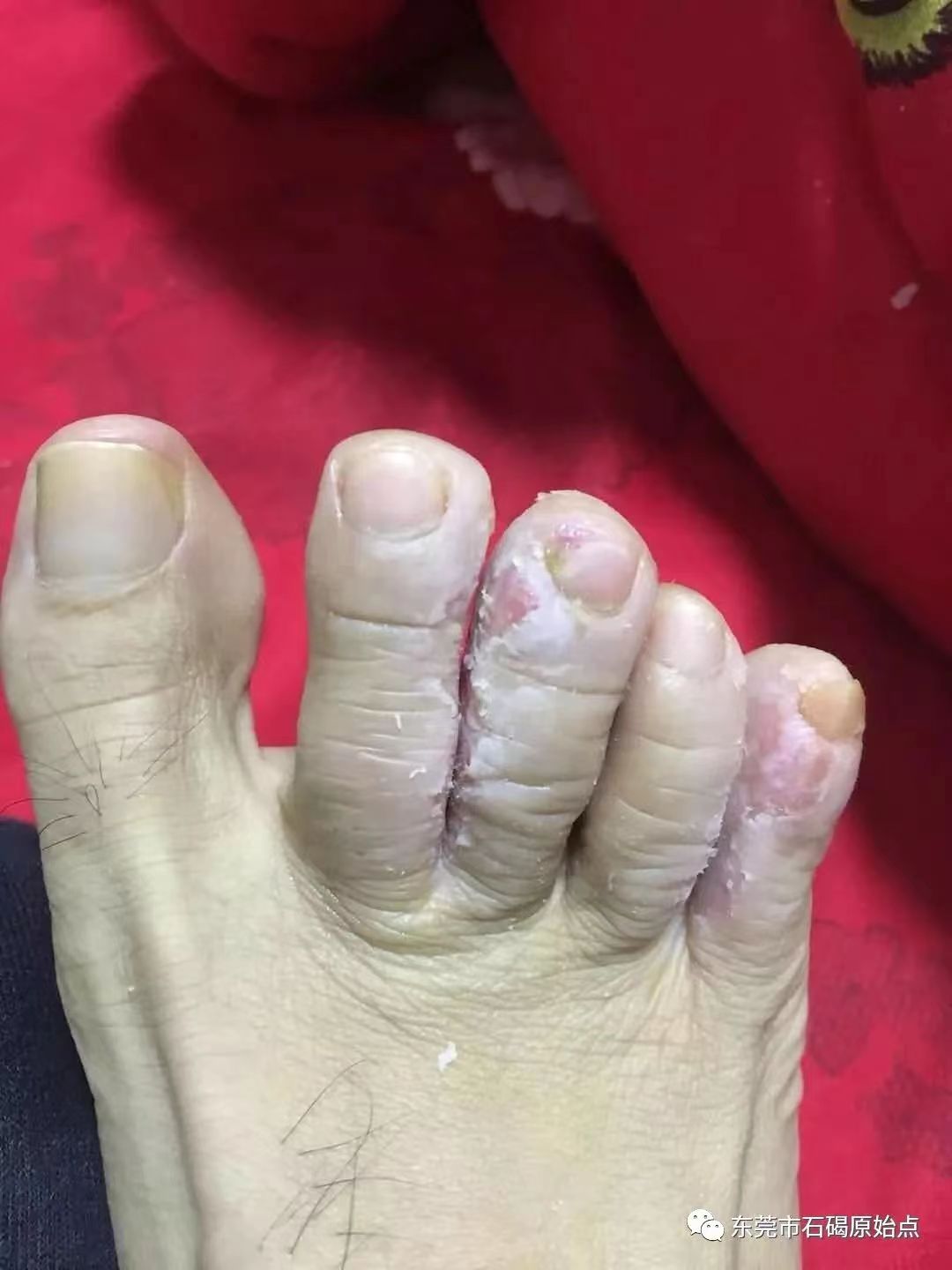 微信图片_20220822172425 微信图片_20220822172425