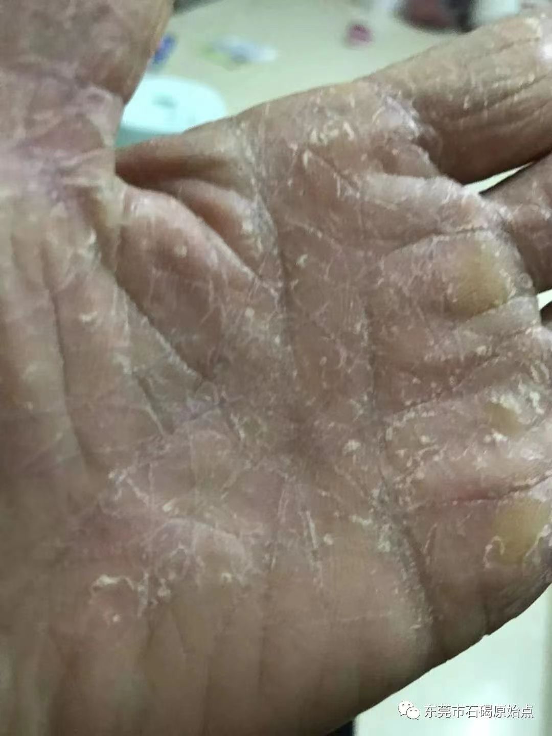 微信图片_20220822172456 微信图片_20220822172456