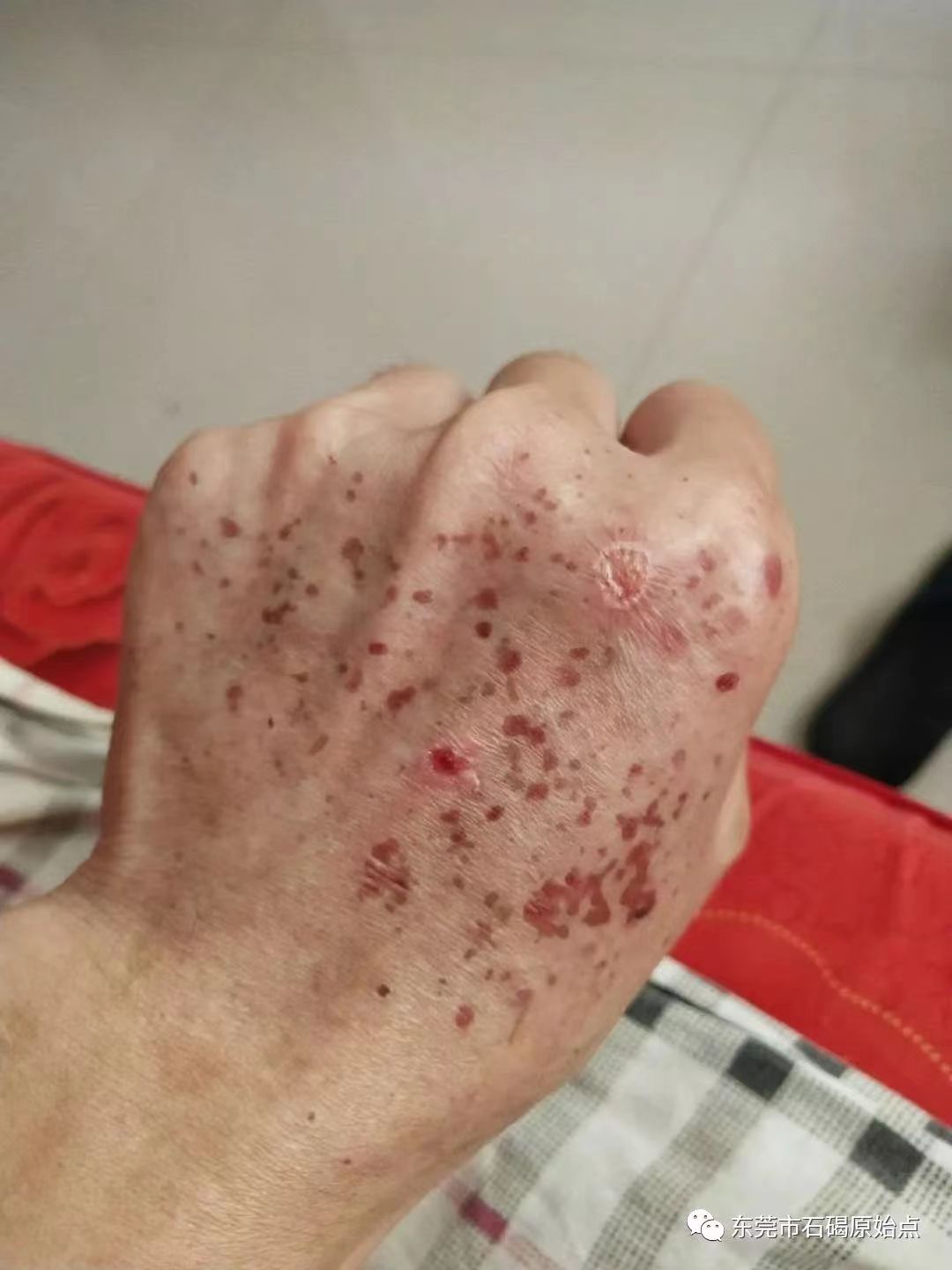 微信图片_20220822172100 微信图片_20220822172100