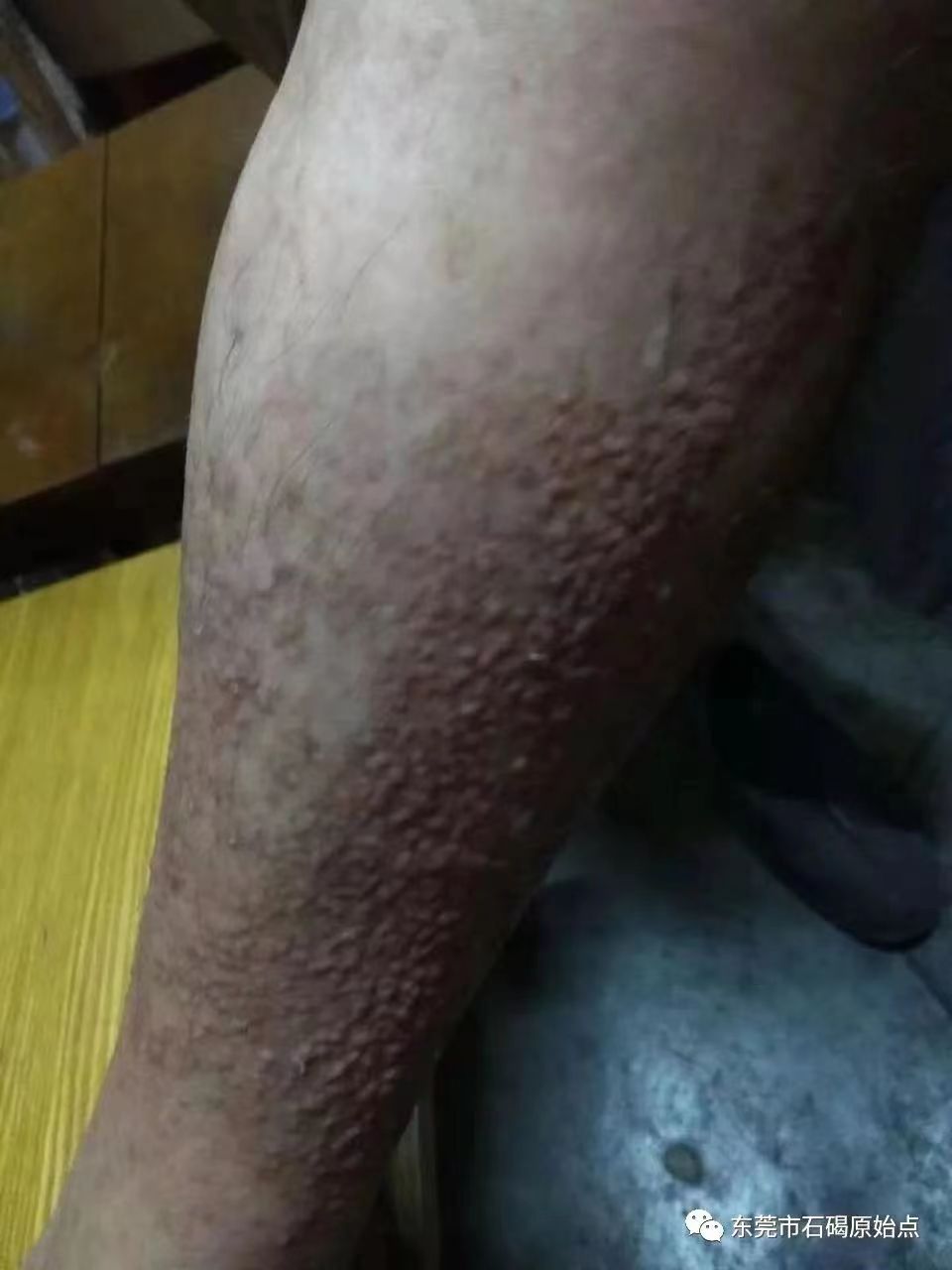 微信图片_20220822171610 微信图片_20220822171610