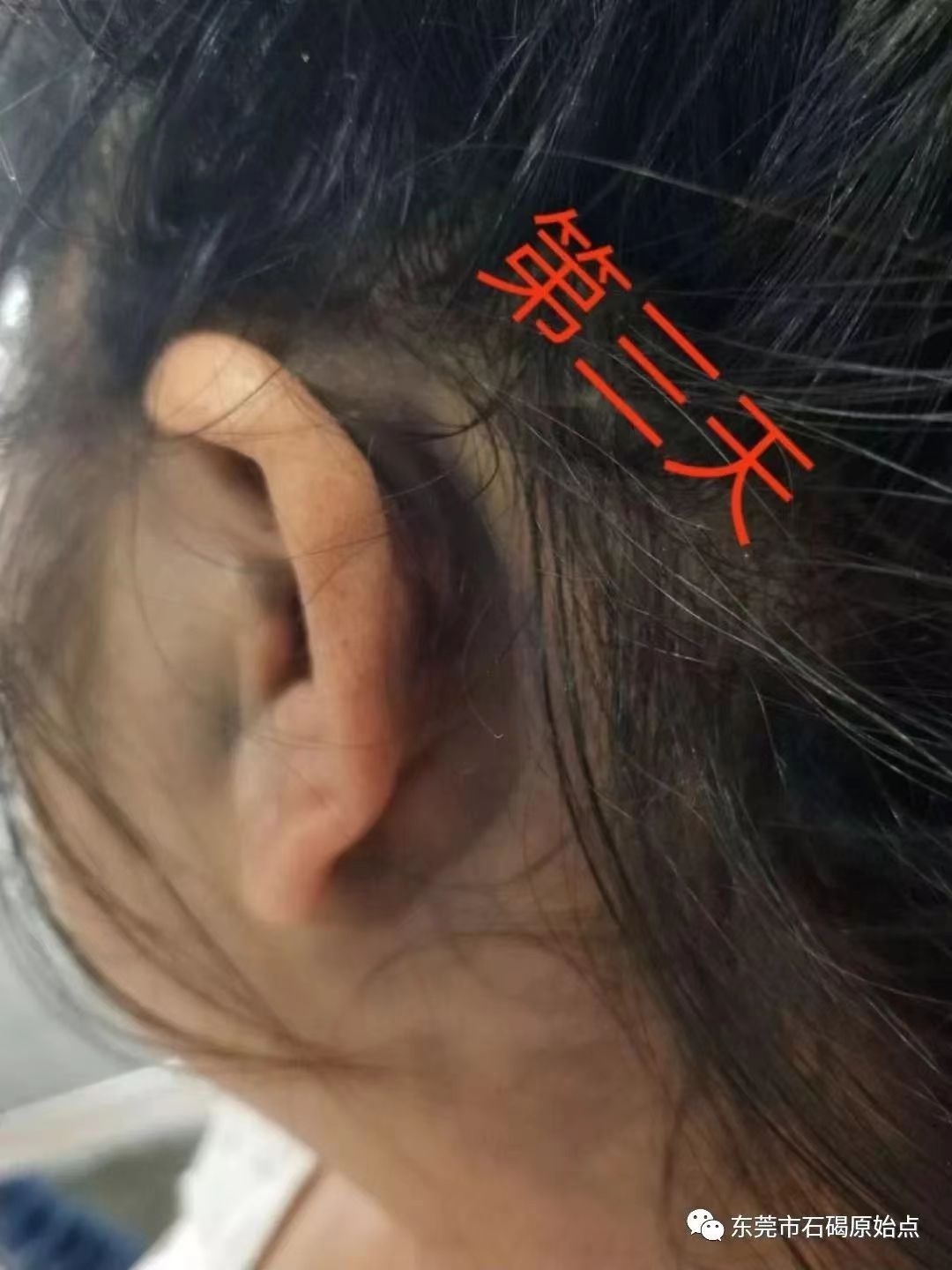微信图片_20220827113142