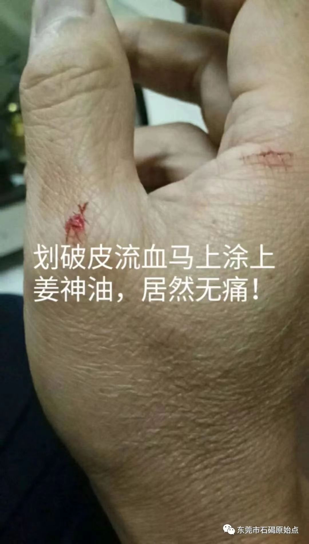 微信图片_20220827112910