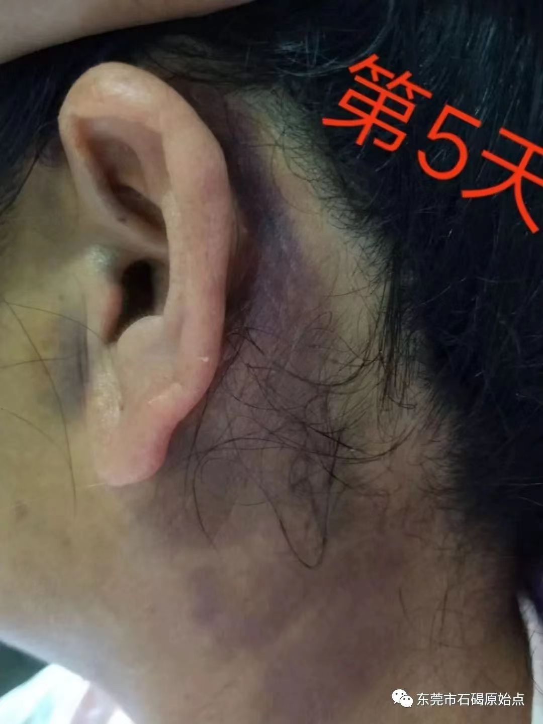 微信图片_20220827113147