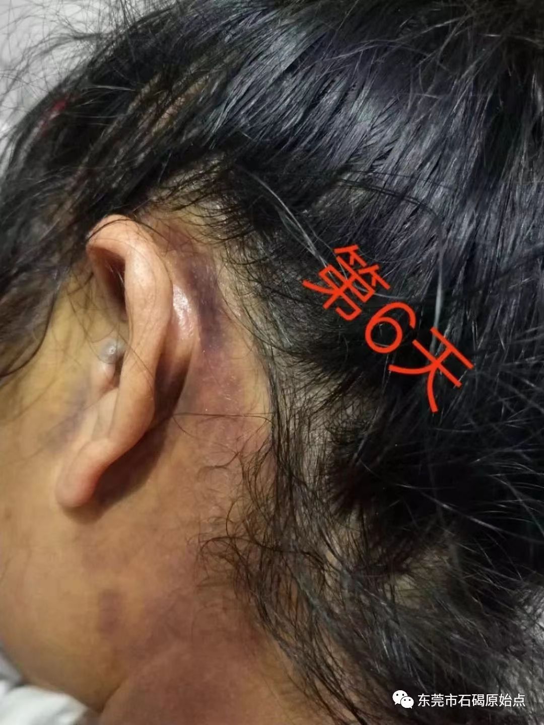 微信图片_20220827113152
